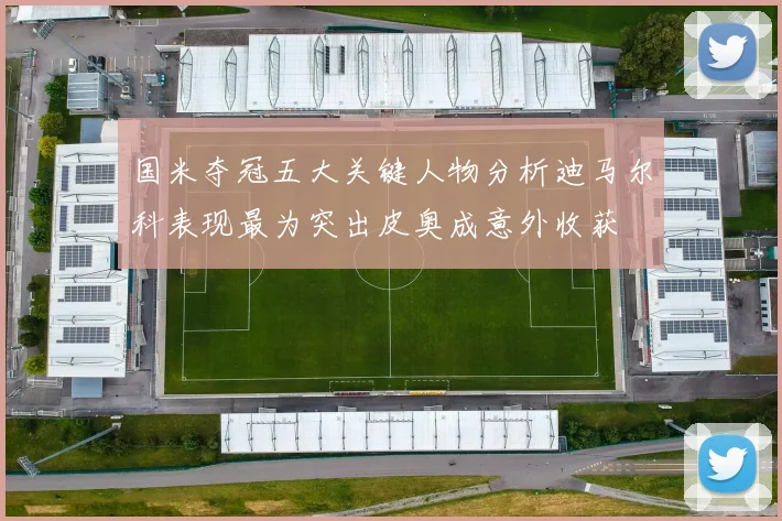 国米夺冠五大关键人物分析迪马尔科表现最为突出皮奥成意外收获